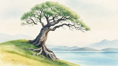 "İstikrar" kelimesinin sözlük anlamı ve bireysel ile toplumsal hayattaki önemini açıklayan görsel.