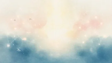 Kelime anlamı ve eş anlamlı kelimelerin ilişkisi. Dilin inceliklerini ve derinliklerini keşfeden bir grafik.