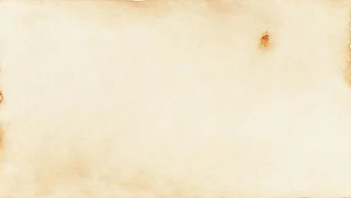 Lider kelimesinin kökeni, etimolojisi ve tarihi anlamını açıklayan görsel.